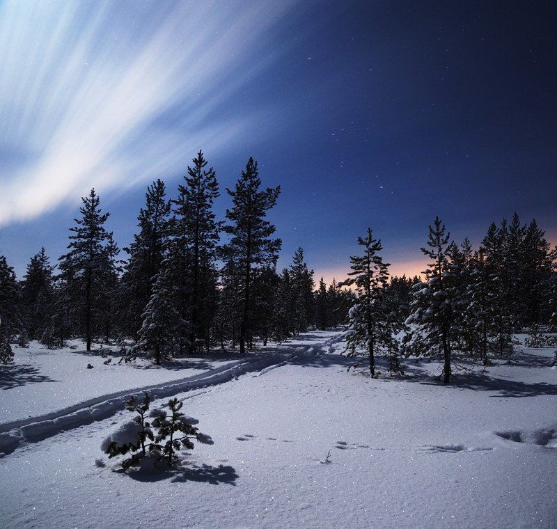 лес, зима, мороз, ночь, снег, следы, заяц, небо, звезды, дым Свет ночи фото превью