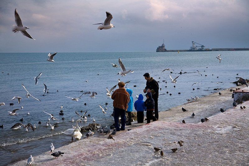 феодосия, порт,  чайки В нашем порту, чайки ловили хлеб на лету... vol 3. фото превью