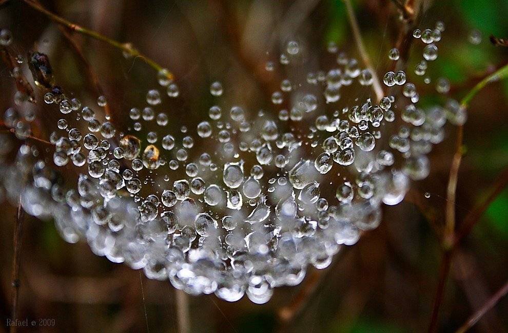 , Рафаэль Александрович Фоменко