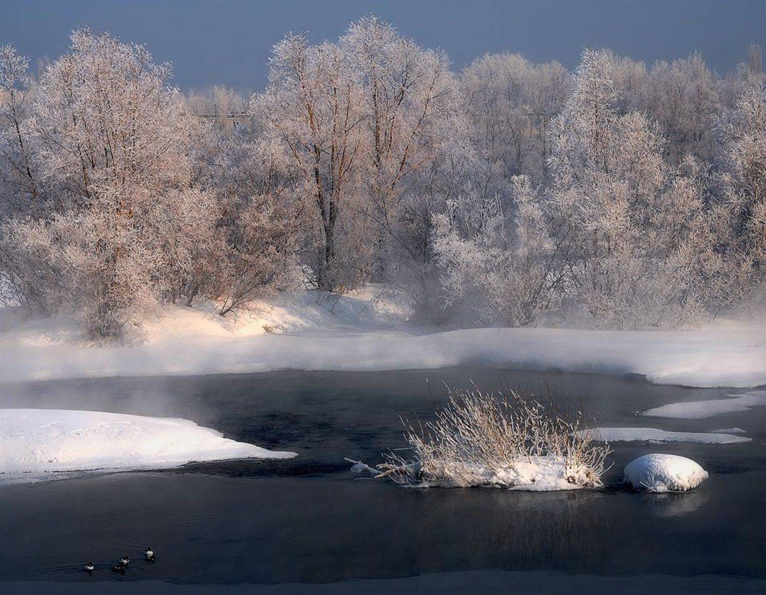 мороз,ульба,усть-каменогорск, Александр