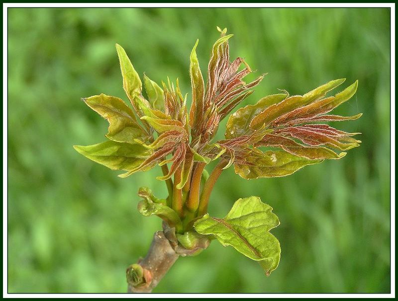 ПРОБУЖДЕНИЕ(скоро будет так!) фото превью
