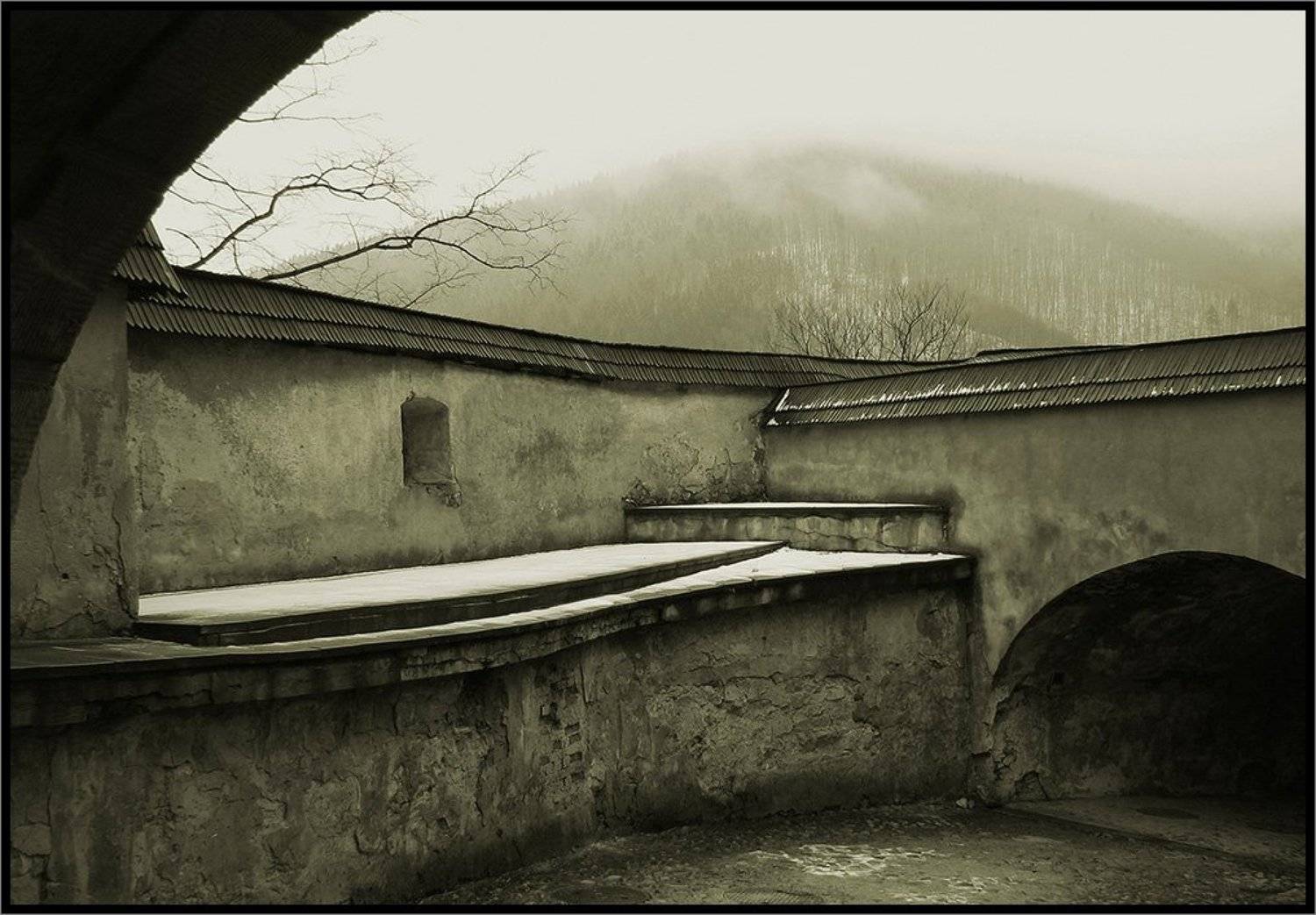 , Лунный Ежик