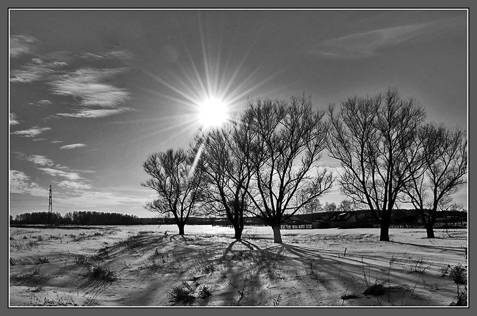 , Октай Гусейнов