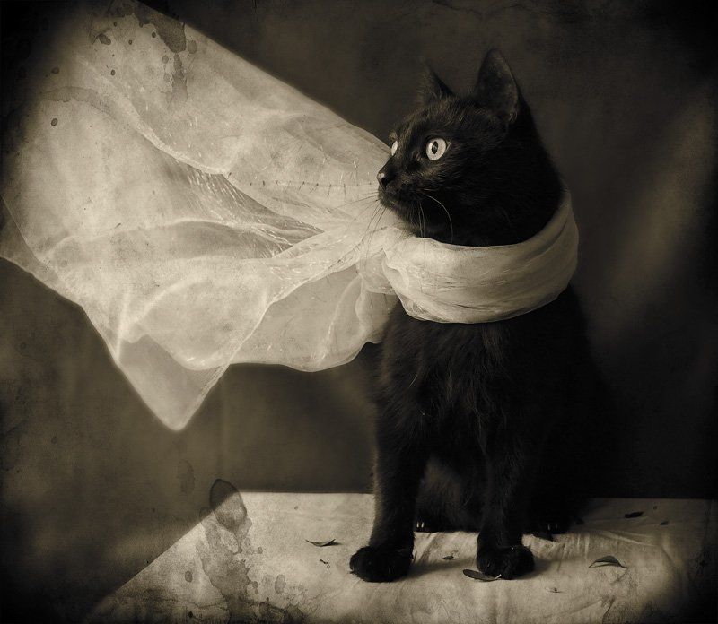 Dreaming about the summer... фото превью