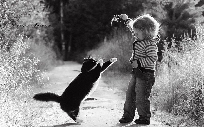 солнце,девочка,дети,кошка,лето,трава,тепло Попробуй, поймай! фото превью