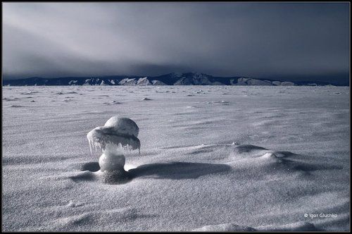 В шляпке ледяной
