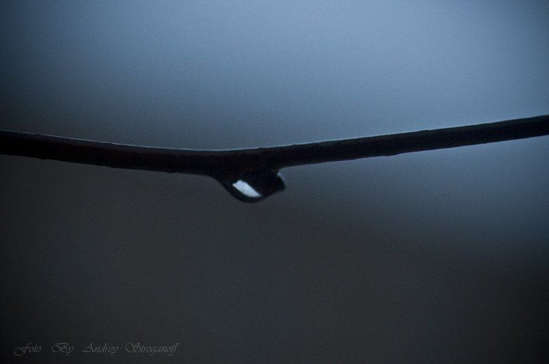 * * * фото превью