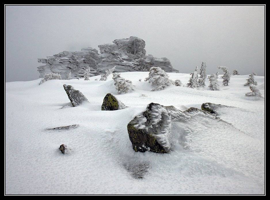шерегеш, верблюд, Юрий Фролов