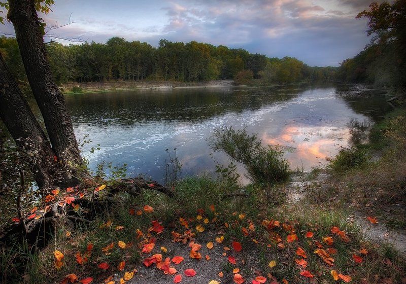 пейзаж, осень Прощальная краса фото превью