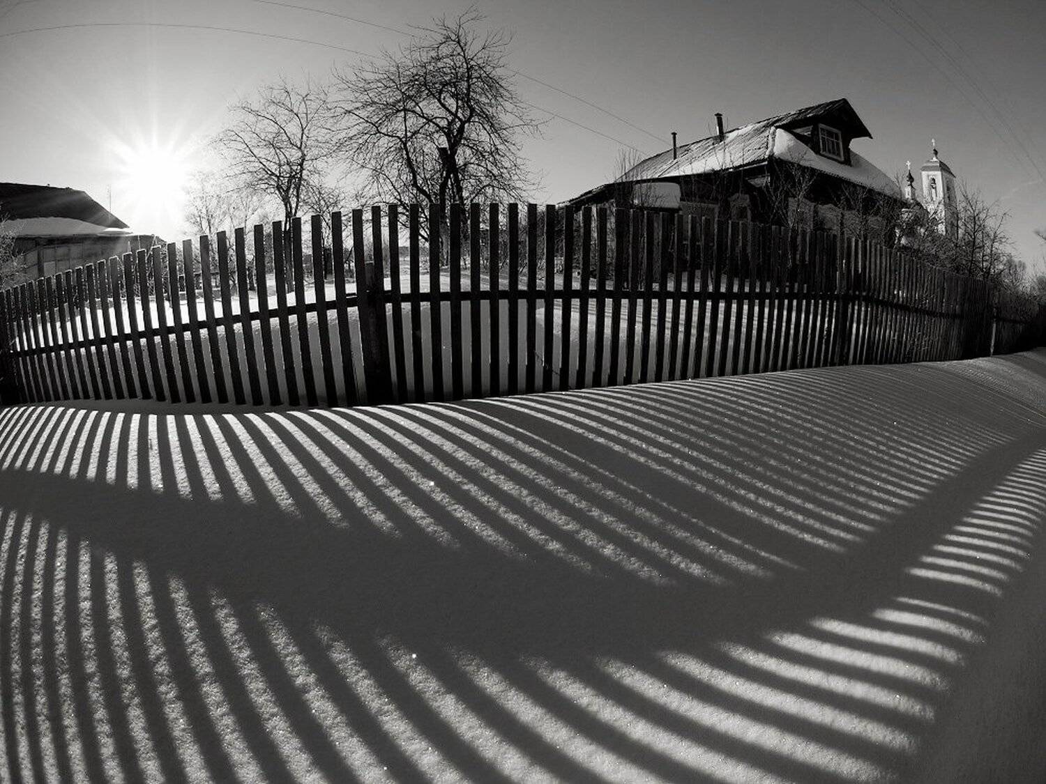 , Максим Евдокимов