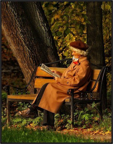 Ленинградка