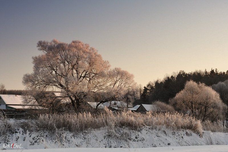 в царстве розового снега фото превью