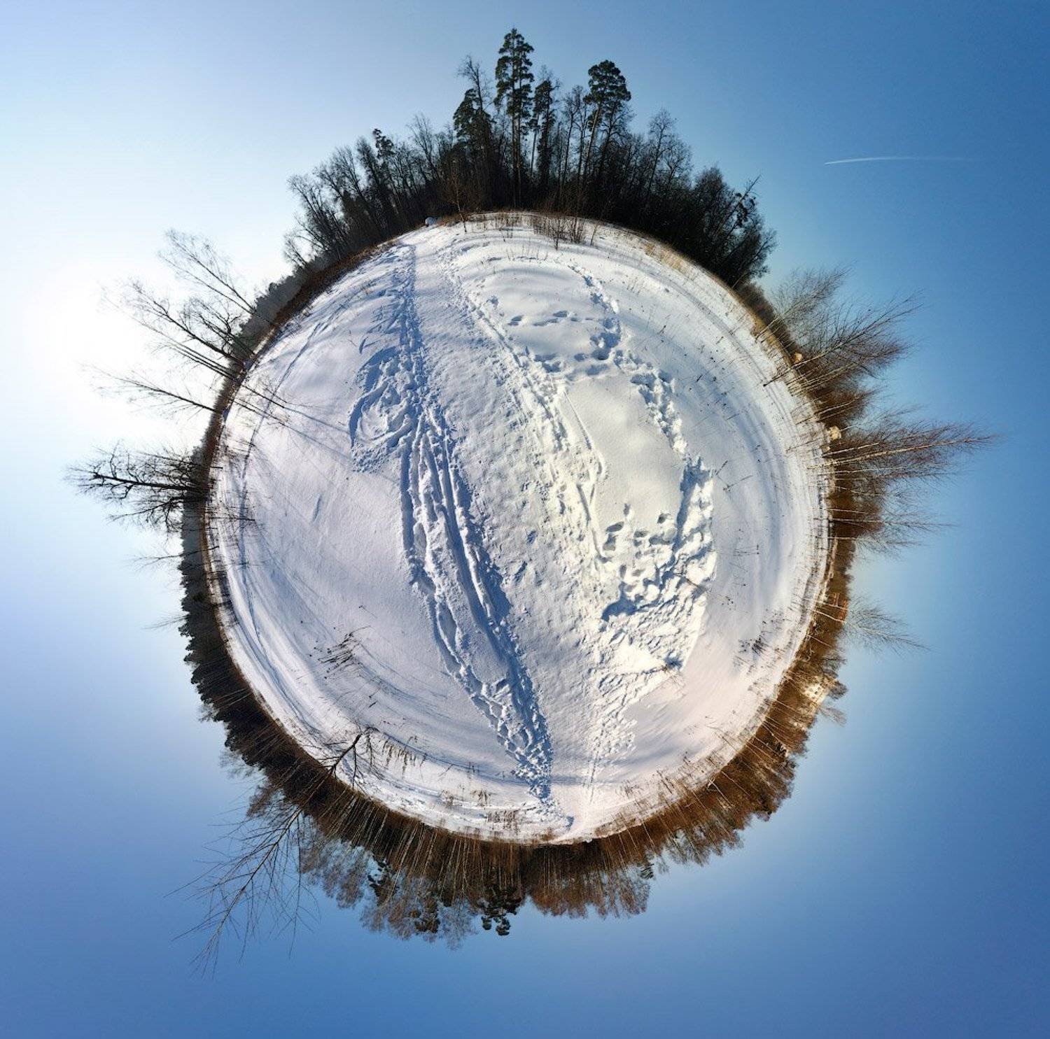 природа, леса, панорама, Владислав