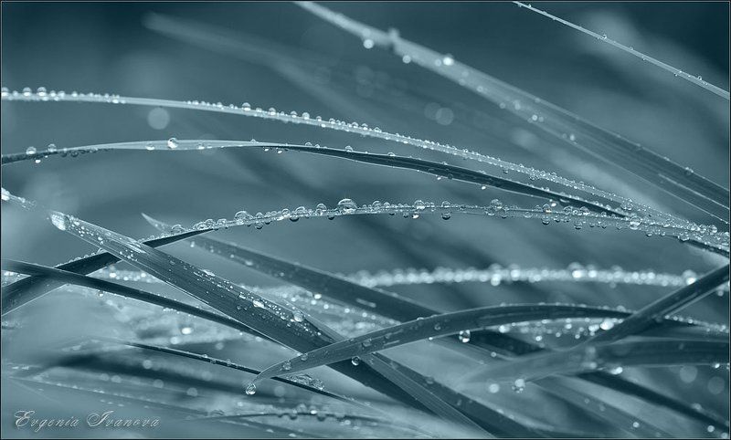 * фото превью