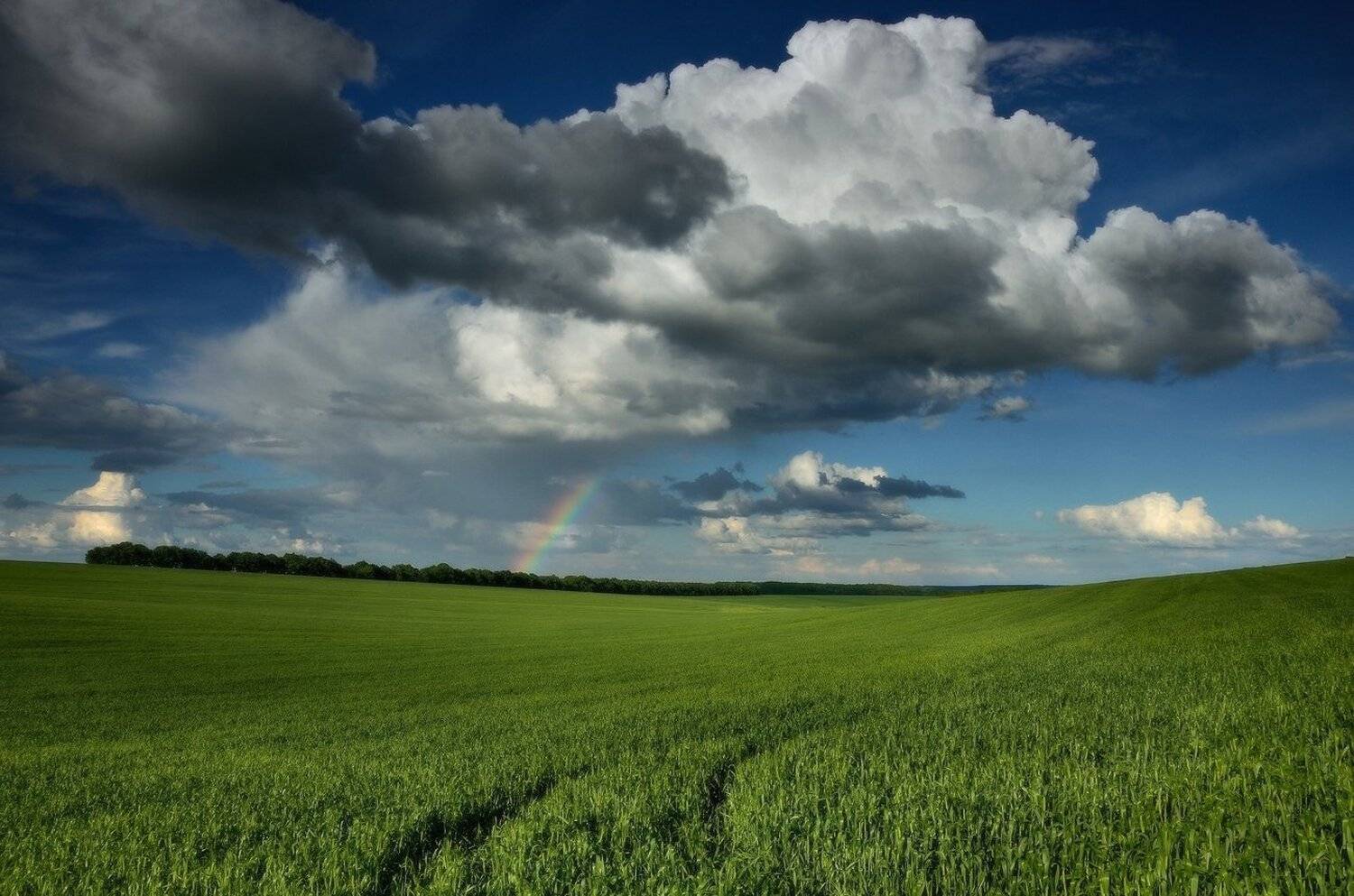 , Животков Андрей