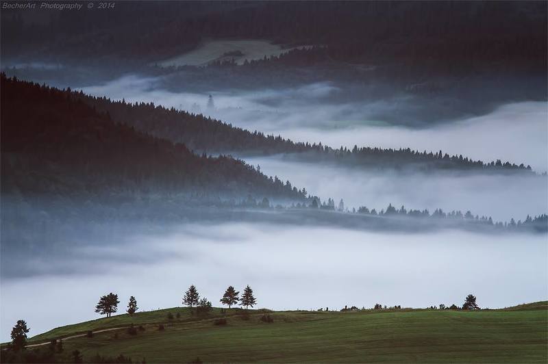 Kingdom Of Heaven XVIII фото превью