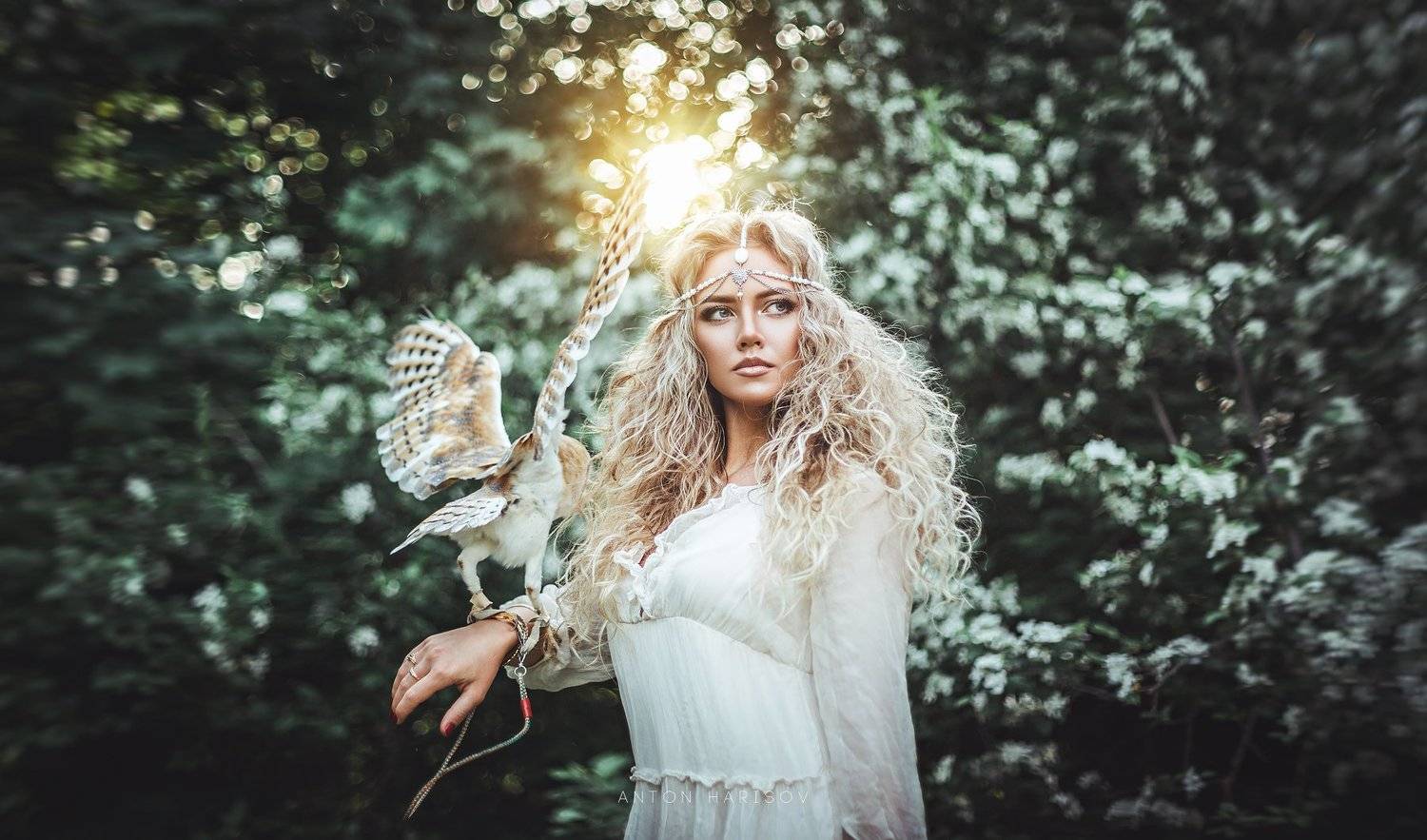 girl, young, sexy, beauty, owl, fantasy, Антон Харисов