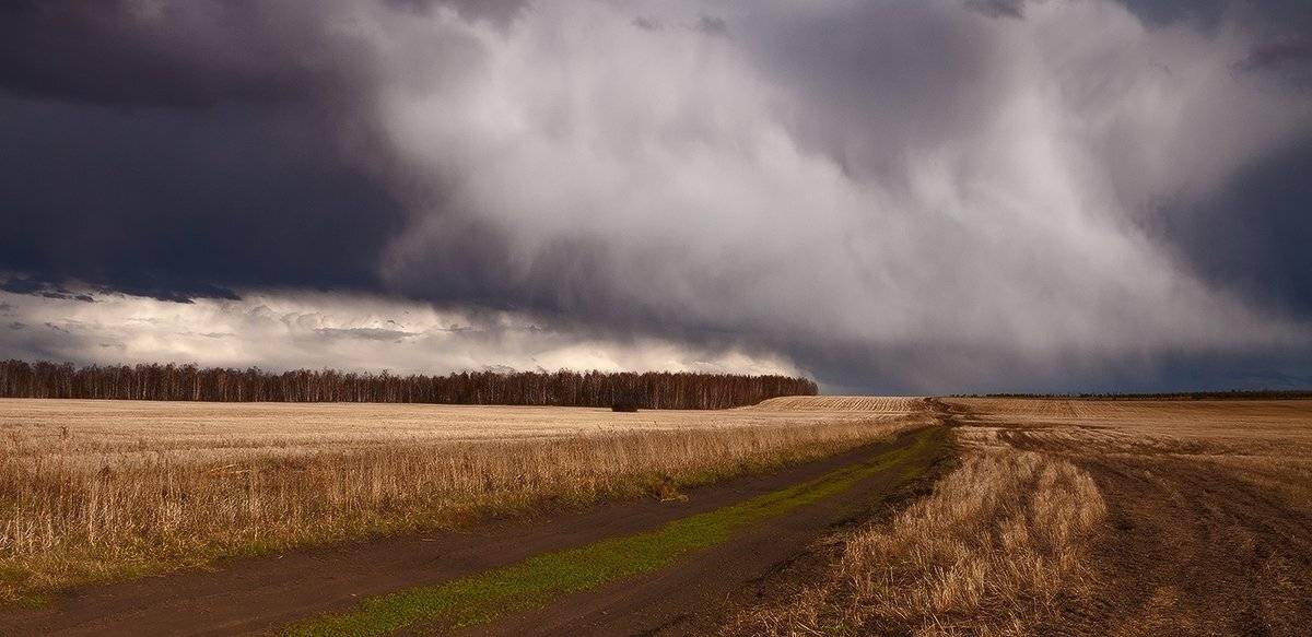 , Николай Морский