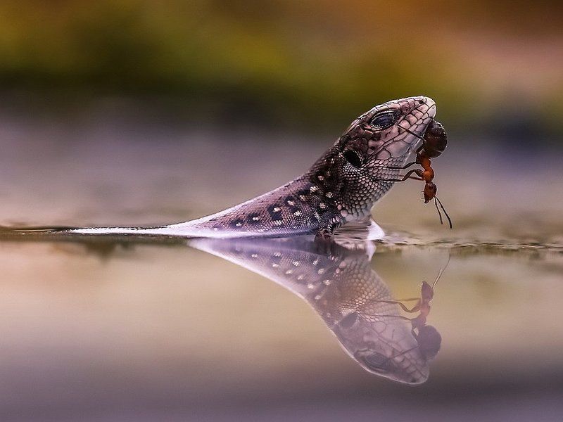 Друзья фото превью
