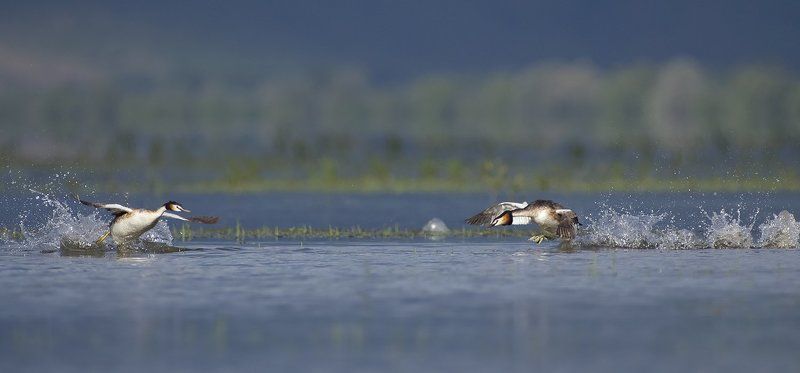 Битка фото превью