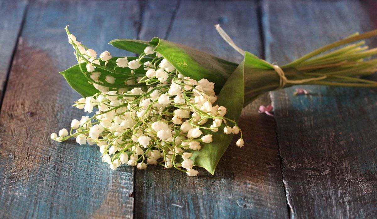 , Инна Богуславская