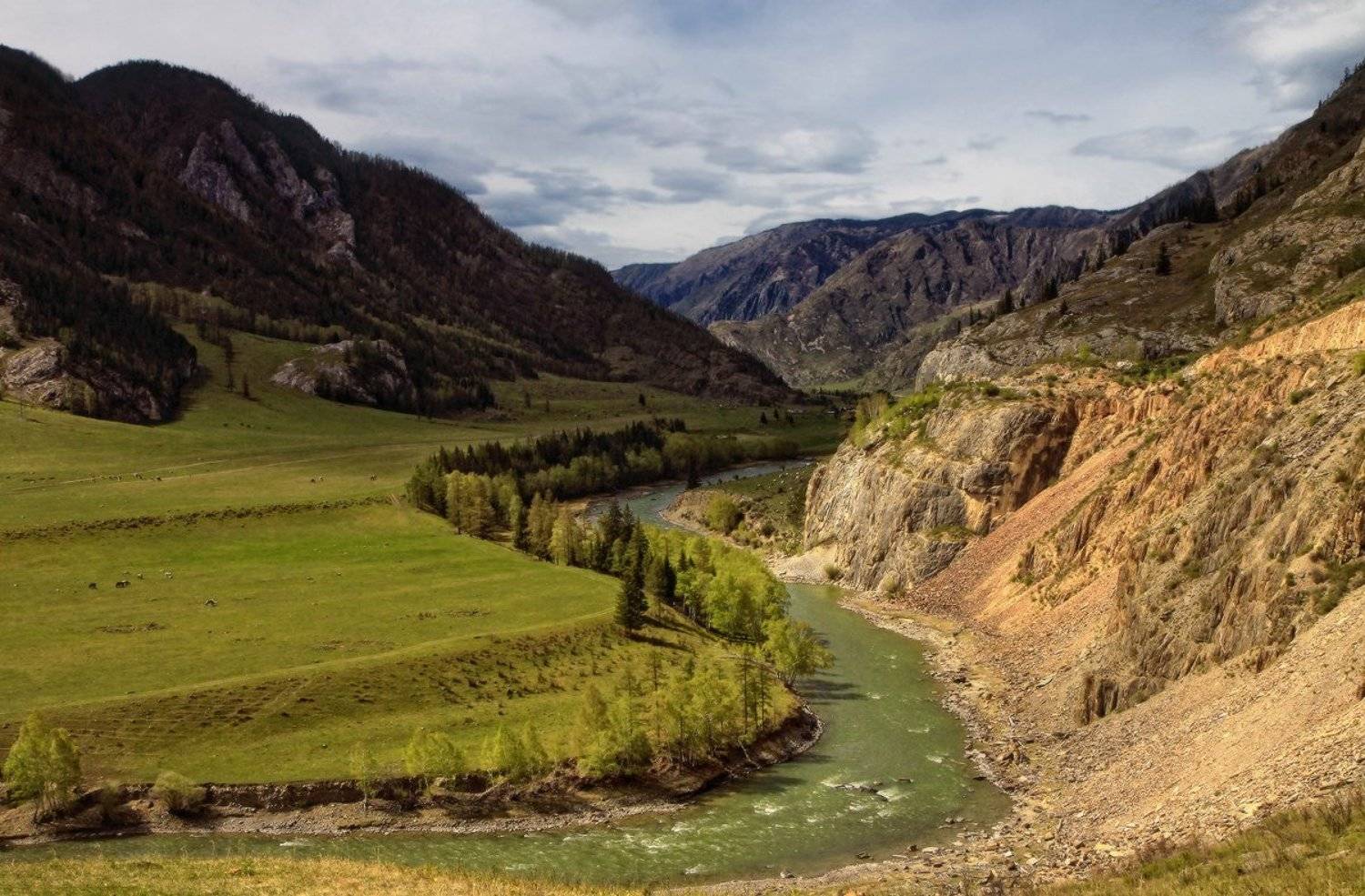 , Галина Хвостенко