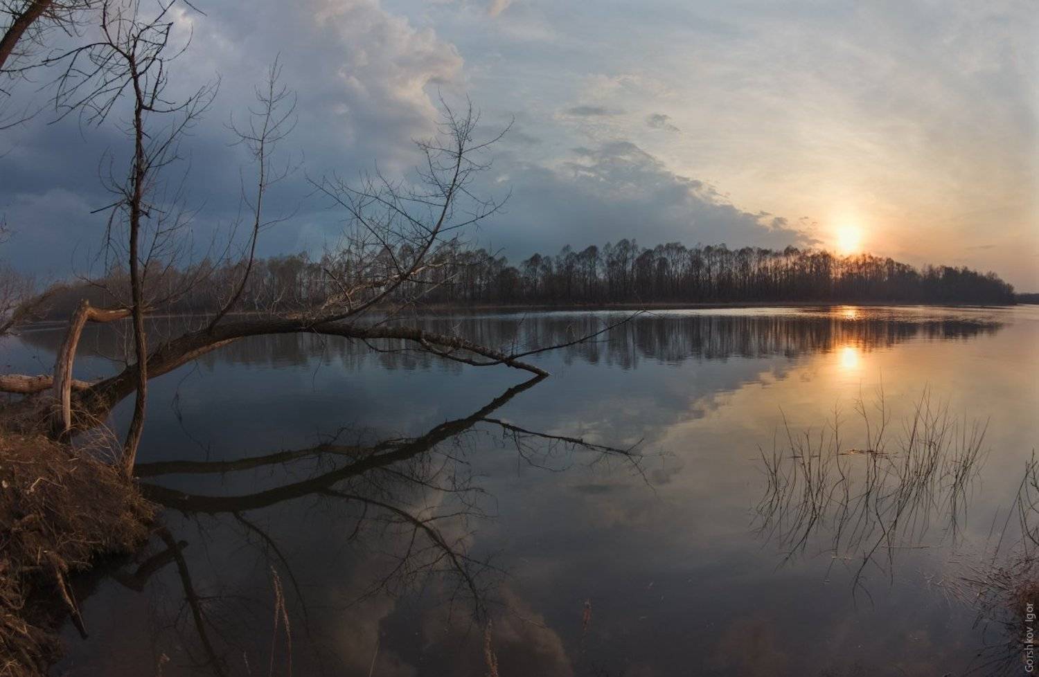 Весна, Дерево, Закат, Нижняя Кама, Половодье, Природа, Река, Фишай, Горшков Игорь