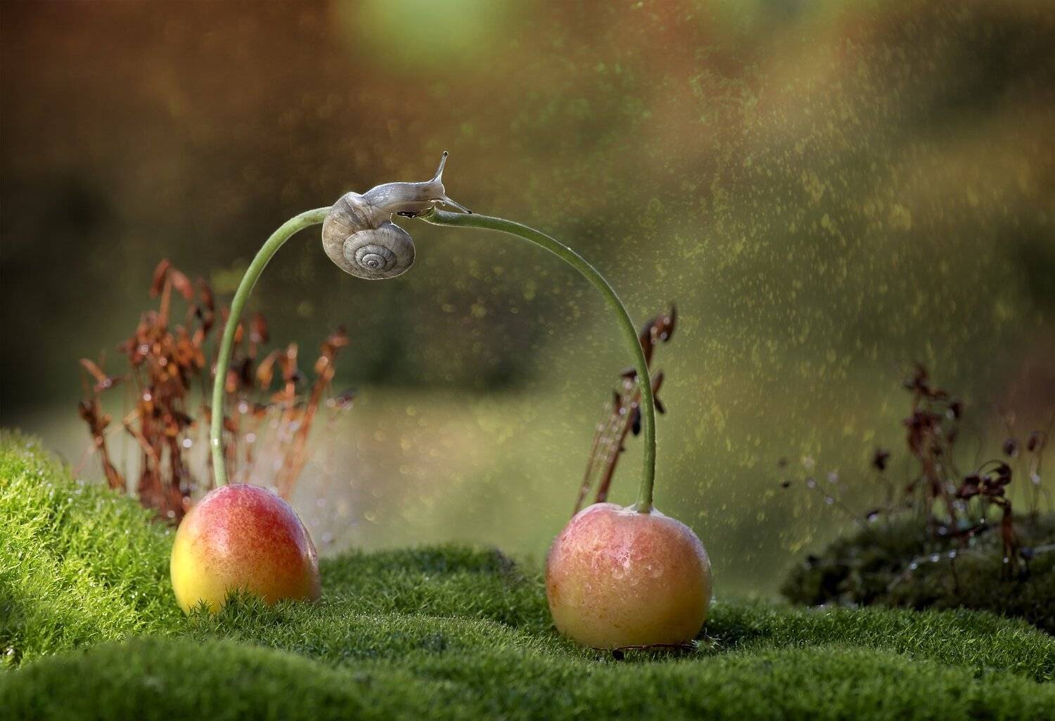 , Таня  Маркова