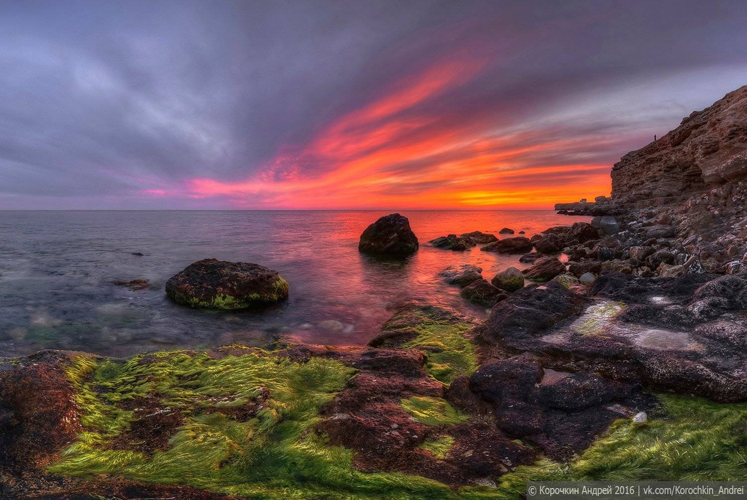 , Андрей Корочкин