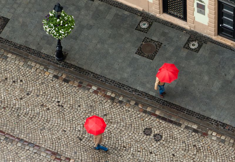 Близнецы фото превью