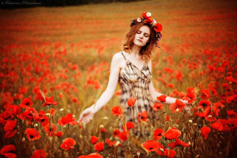 Крым маки девушка весна май *** фото превью