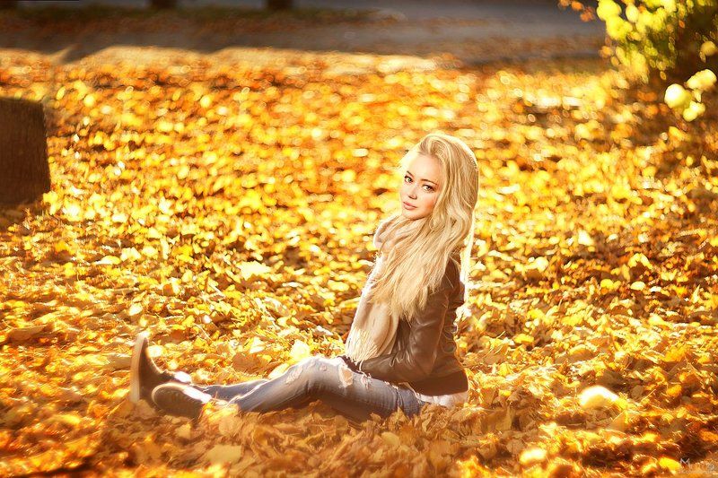 листва, солнце, блеск Елена фото превью