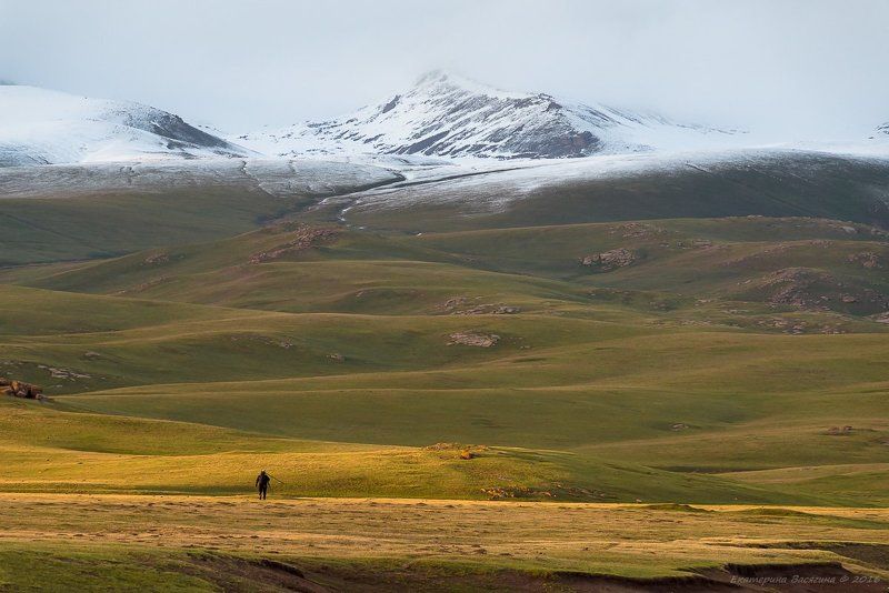 киргизия, сон-куль, озеро, высокогорье В плену озера Сон-Куль... фото превью