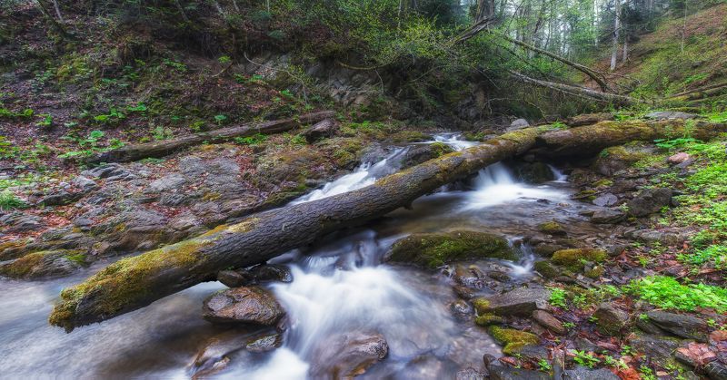 Большой Сахрай фото превью