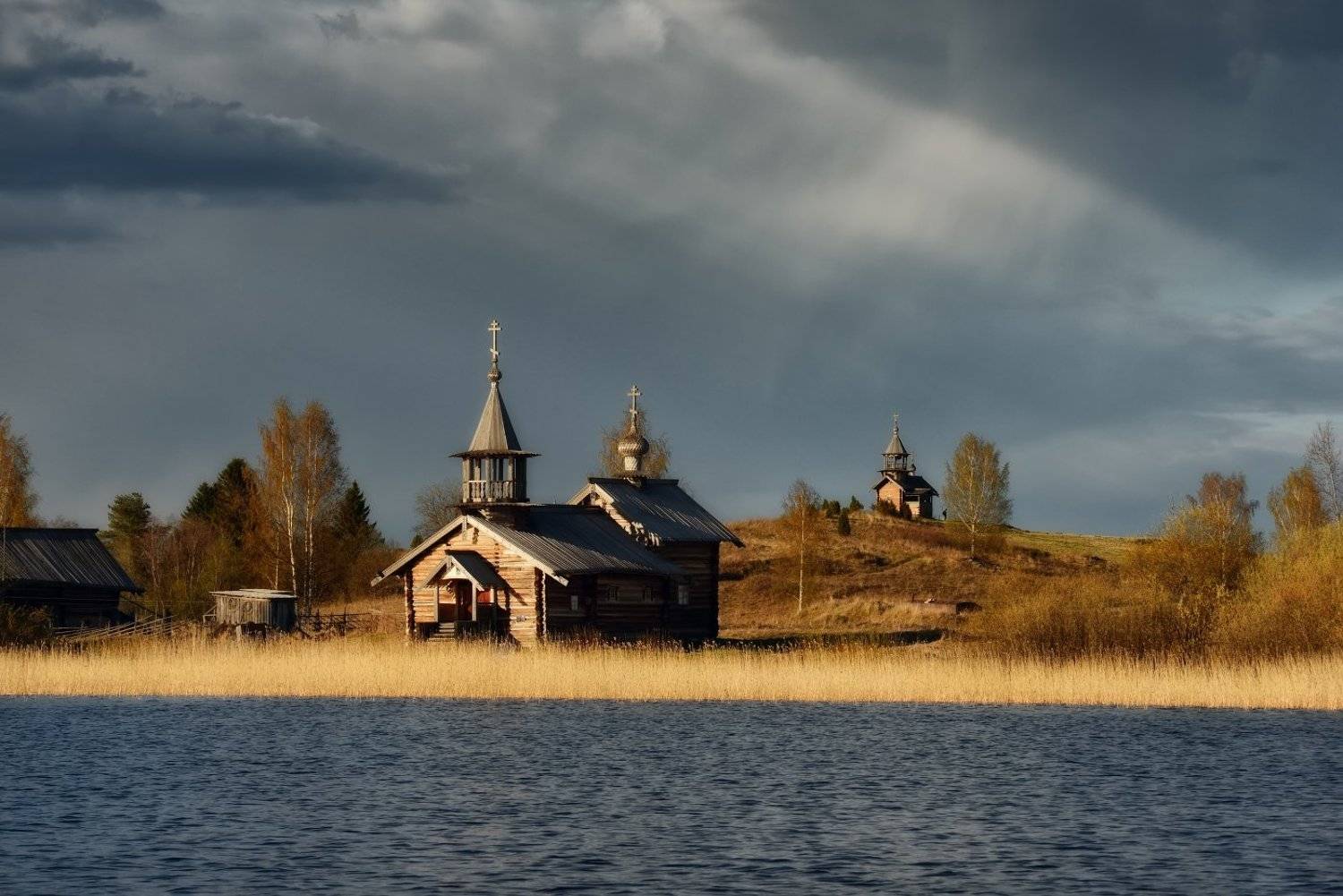 , Максим Евдокимов ( www.wildphotorus.ru )
