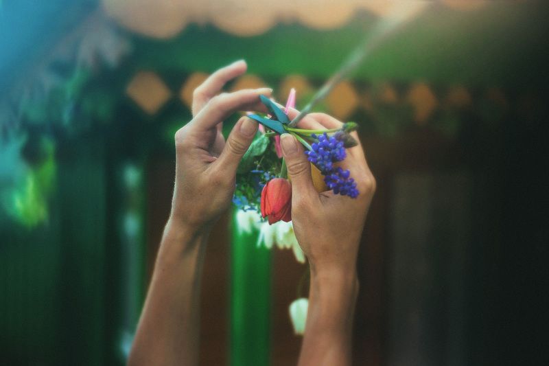 .first harvest. фото превью
