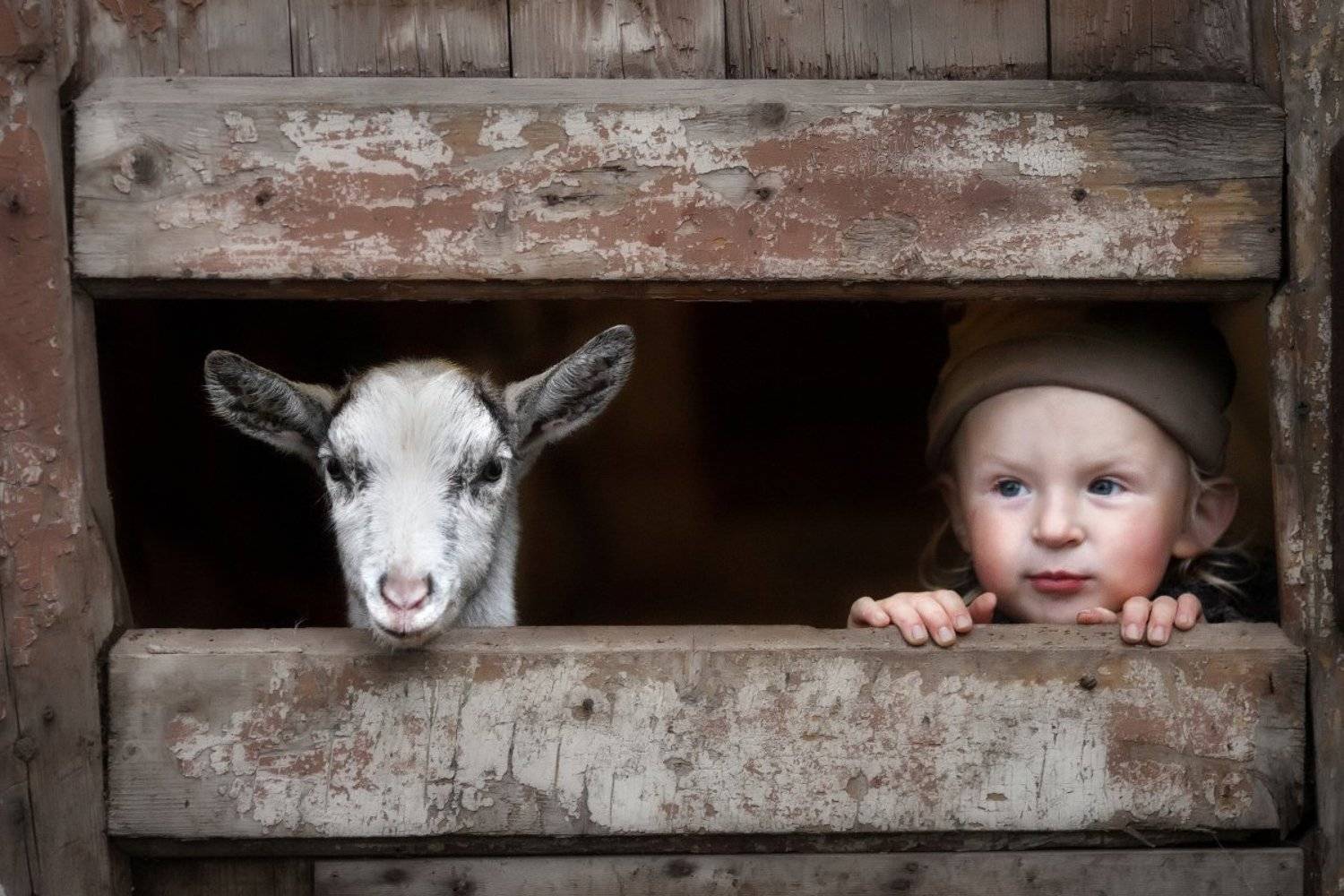 , Андриянкина Светлана