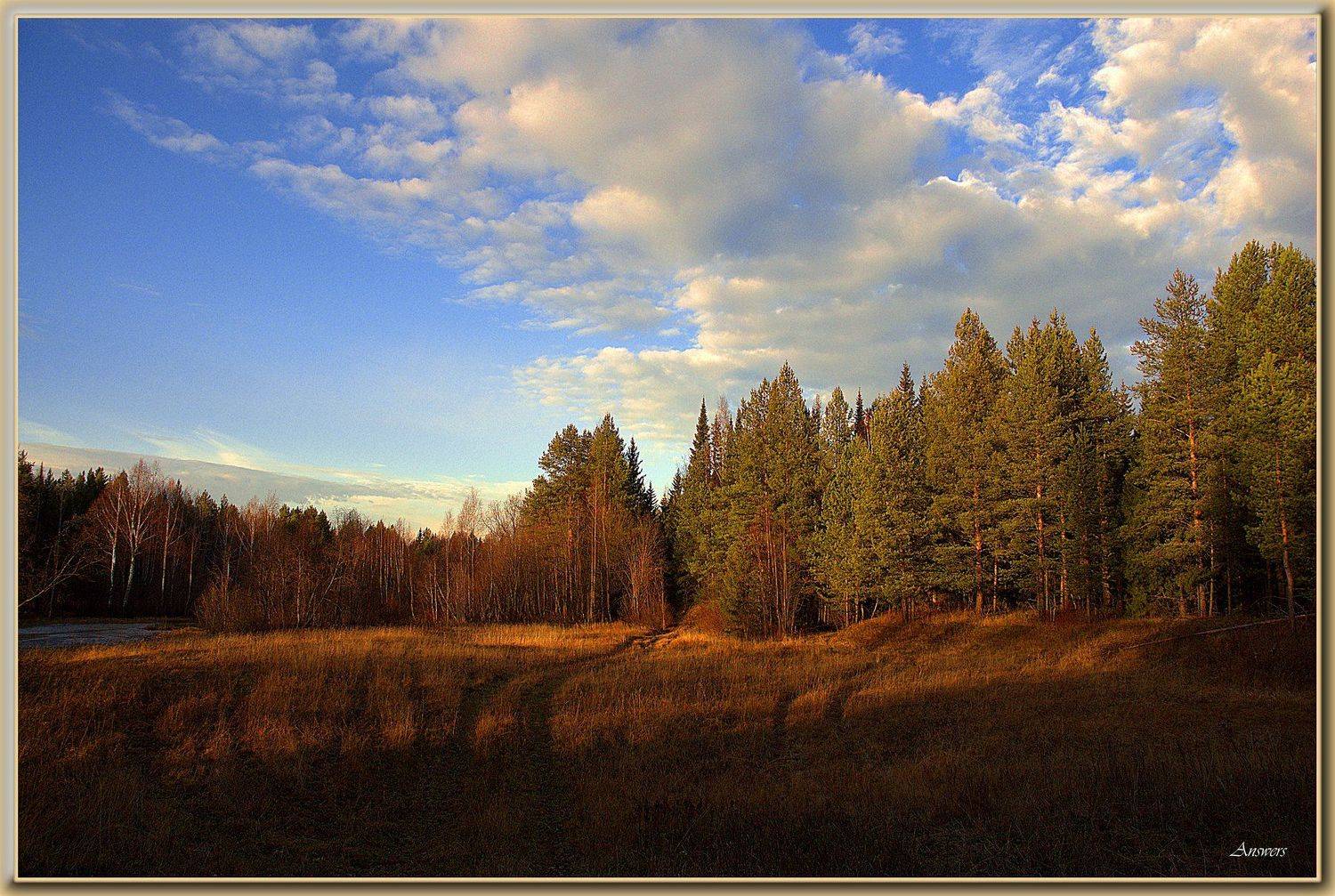 , Андрей Север