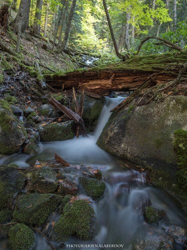 ТЕБЕРДИНСКИЙ РУЧЕЙ