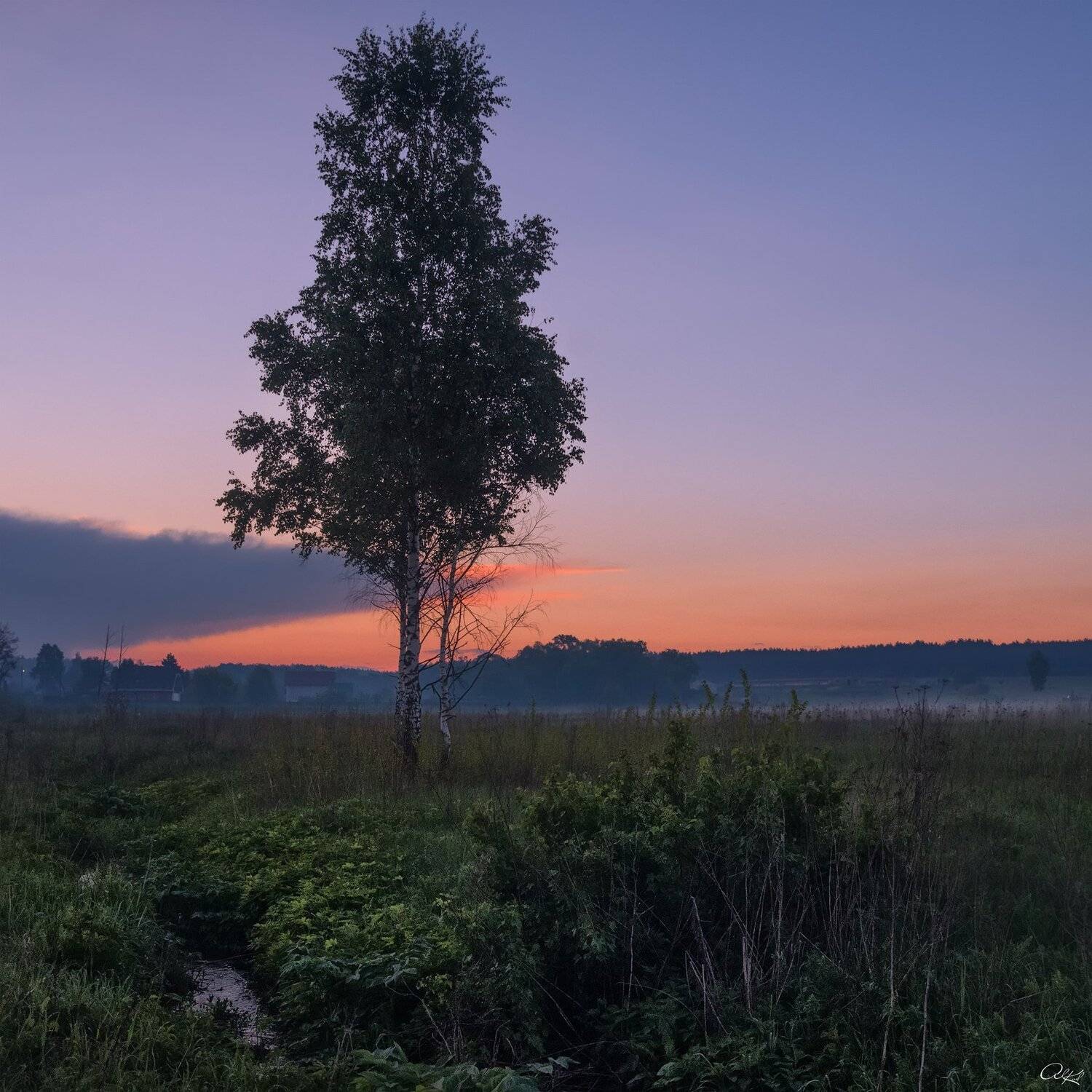 , Александр Кудинов