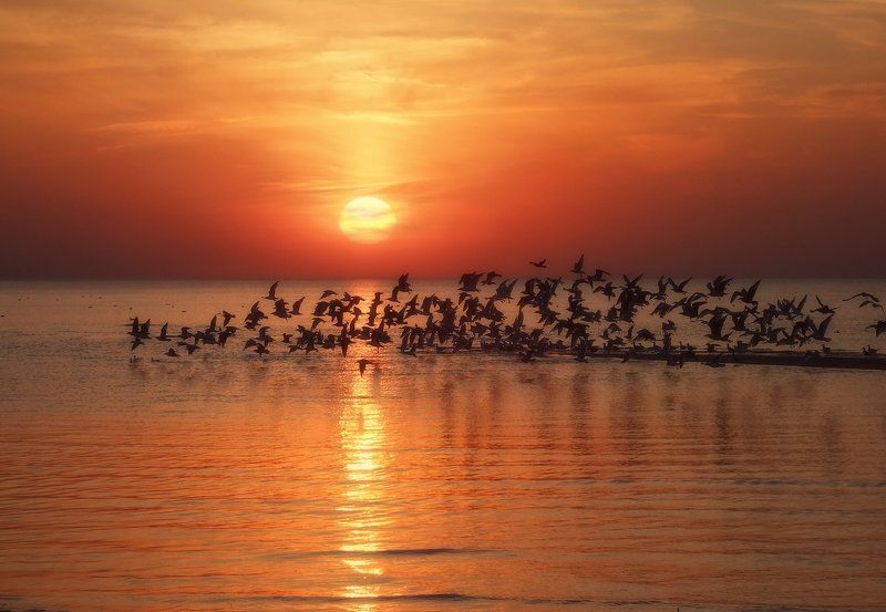 Страсти по Хичкоку (3) фото превью