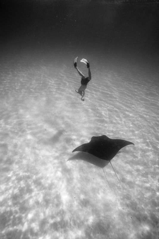 Манта, Фридайвер Подводное свидание фото превью