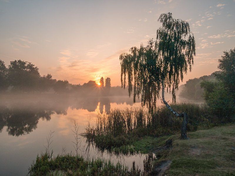 Одно туманное утро фото превью