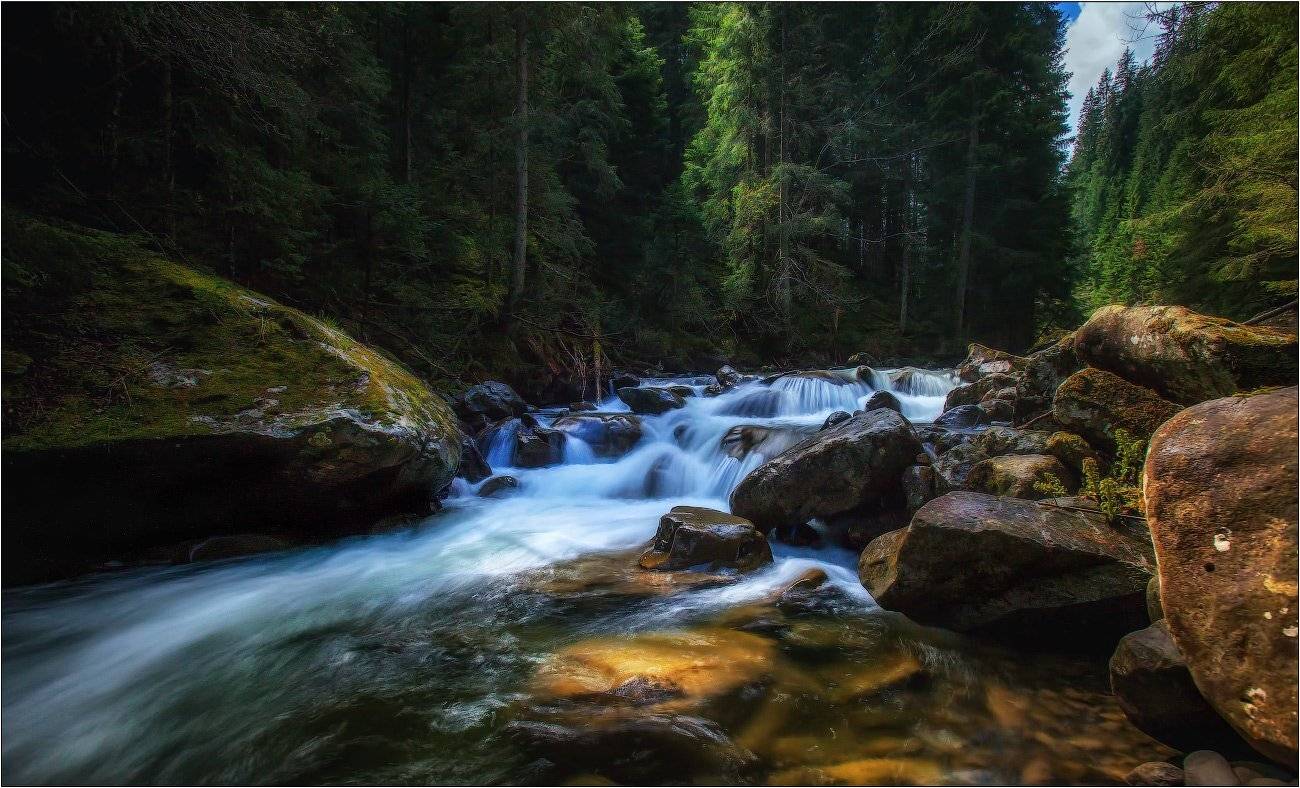 , Рудченко Анатолий