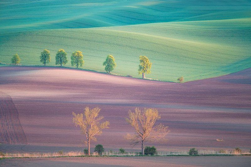 Moravian spring фото превью