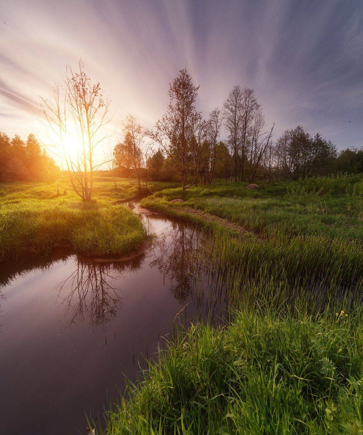 , Сергей Сутковой