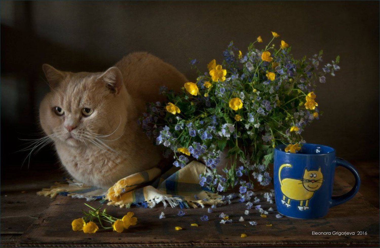 вероника, кот, кружка  с котиком, лютики, натюркотики, Eleonora Grigorjeva