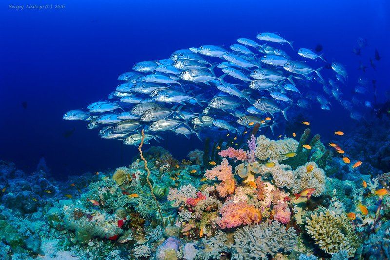 Прогулка фото превью