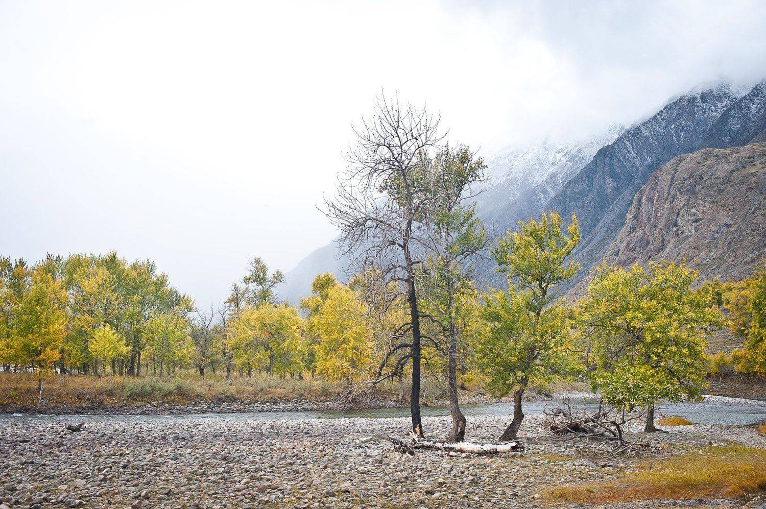 , Дмитрий Жуков