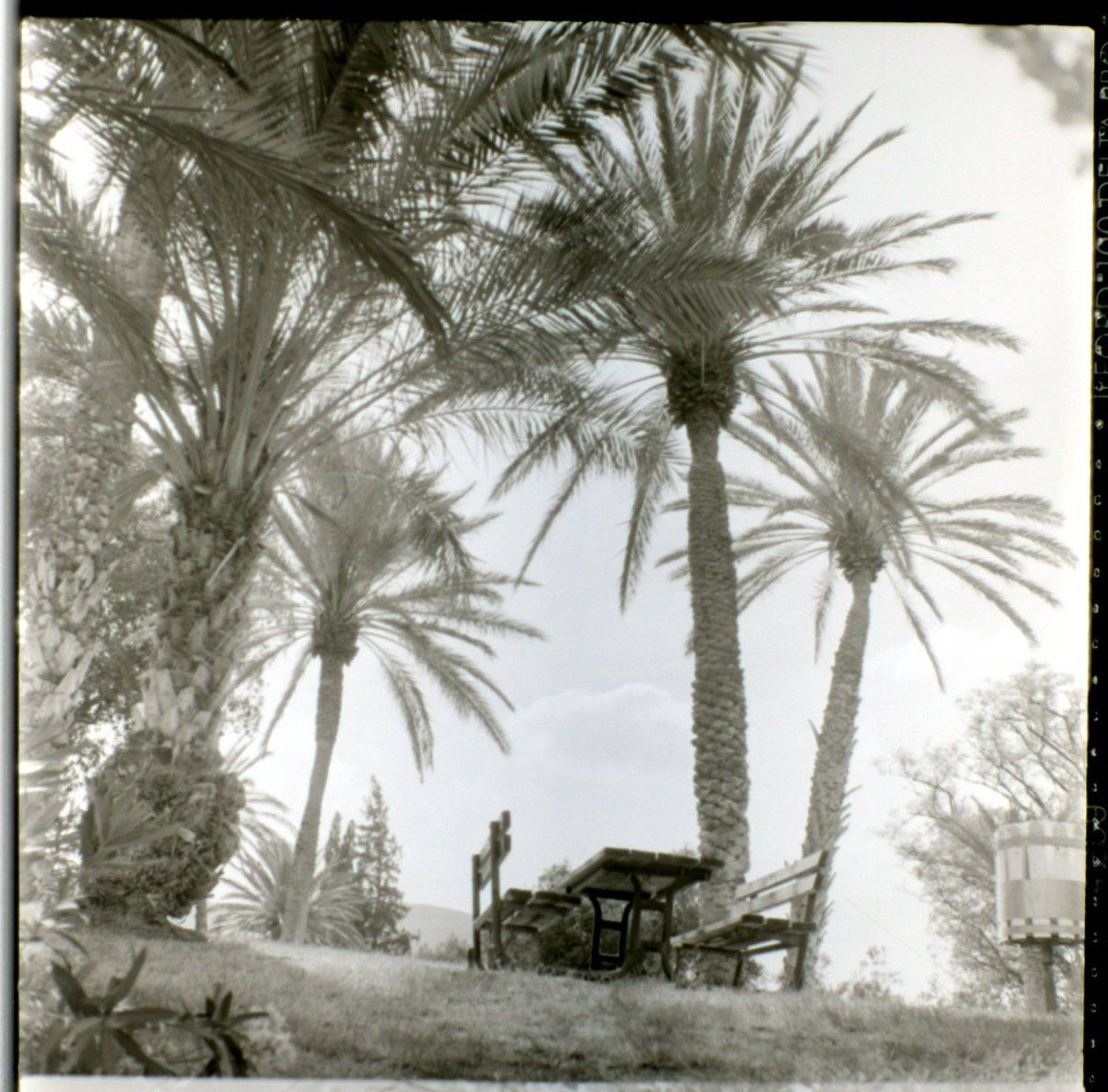 пленка, средний формат, 6х6, искра 2, valeko